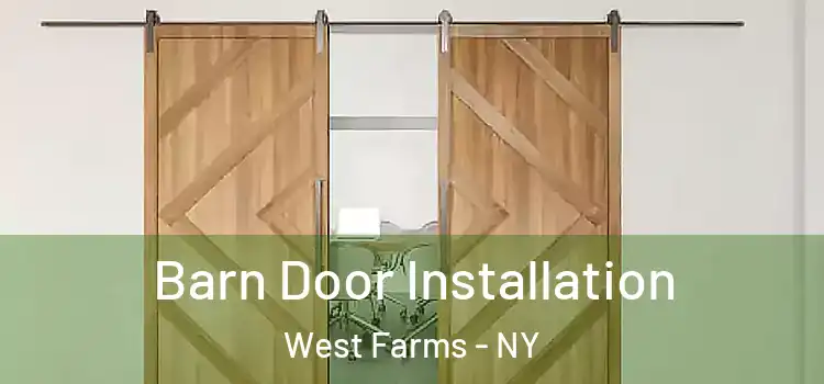  Barn Door Installation West Farms - NY