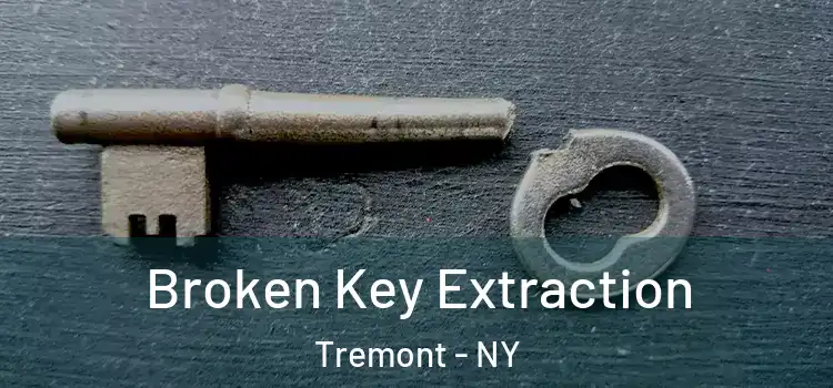 Broken Key Extraction Tremont - NY