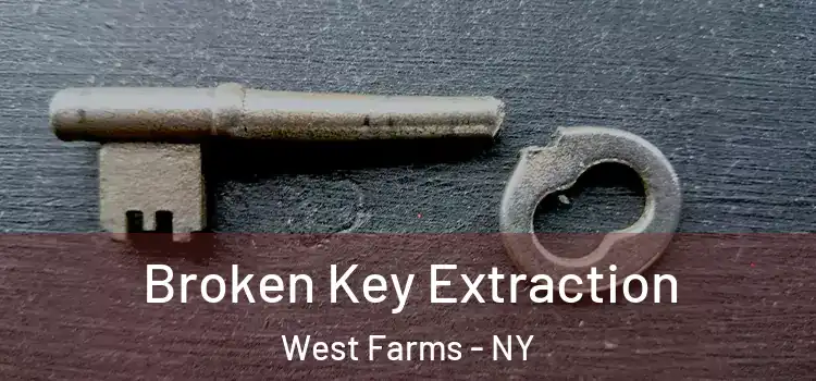 Broken Key Extraction West Farms - NY