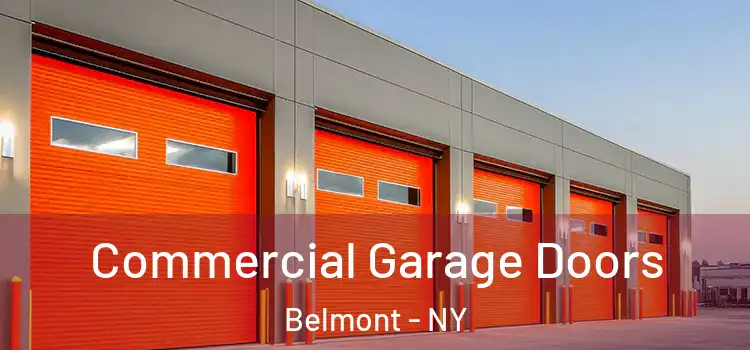  Commercial Garage Doors Belmont - NY