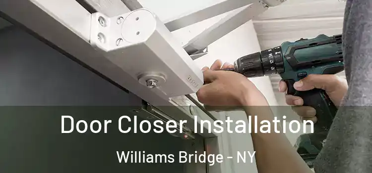 Door Closer Installation Williams Bridge - NY