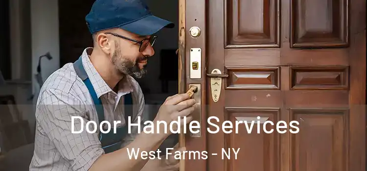  Door Handle Services West Farms - NY