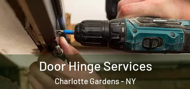 Door Hinge Services Charlotte Gardens - NY
