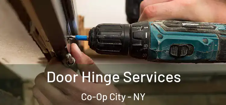 Door Hinge Services Co-Op City - NY