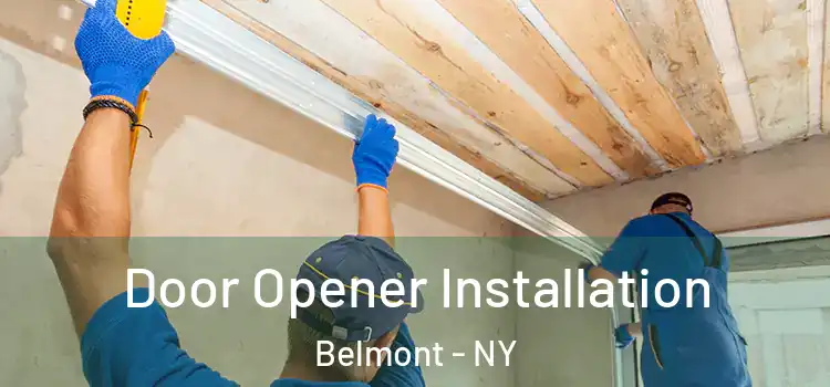  Door Opener Installation Belmont - NY