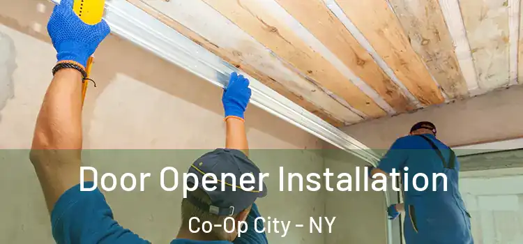 Door Opener Installation Co-Op City - NY