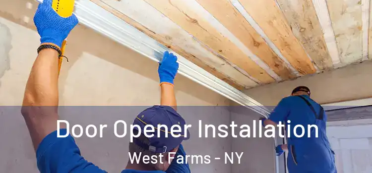  Door Opener Installation West Farms - NY