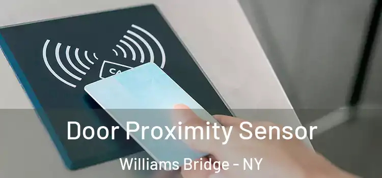 Door Proximity Sensor Williams Bridge - NY