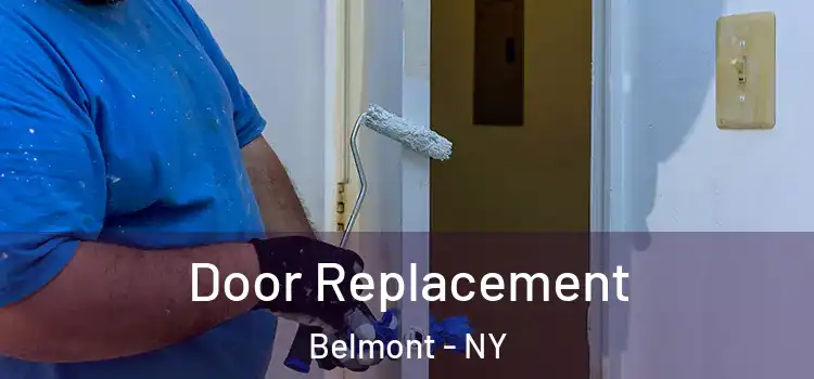  Door Replacement Belmont - NY