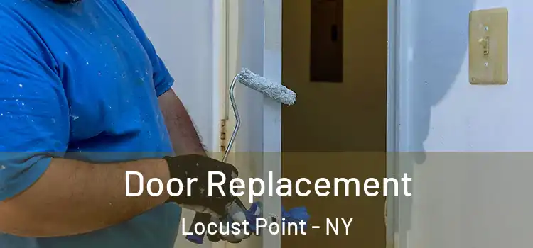  Door Replacement Locust Point - NY