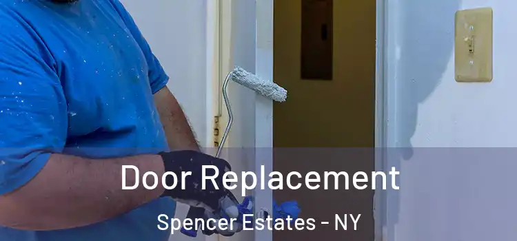  Door Replacement Spencer Estates - NY