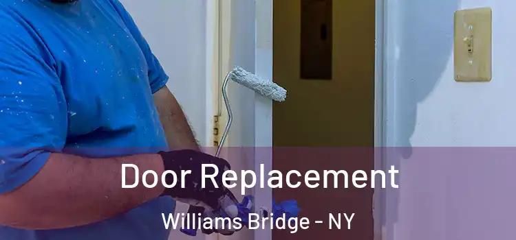  Door Replacement Williams Bridge - NY