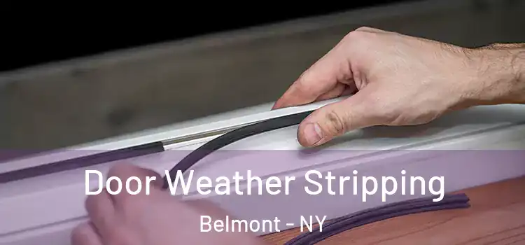  Door Weather Stripping Belmont - NY