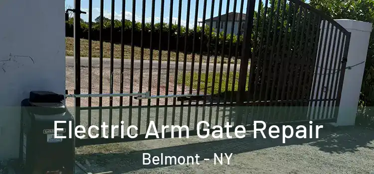 Electric Arm Gate Repair Belmont - NY