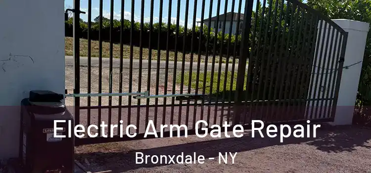 Electric Arm Gate Repair Bronxdale - NY