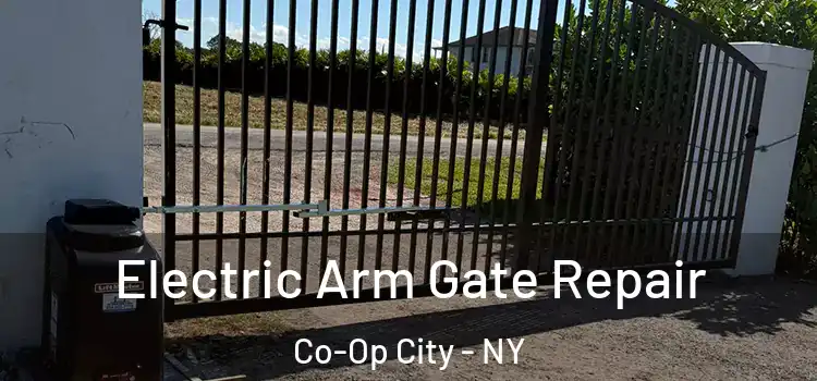 Electric Arm Gate Repair Co-Op City - NY