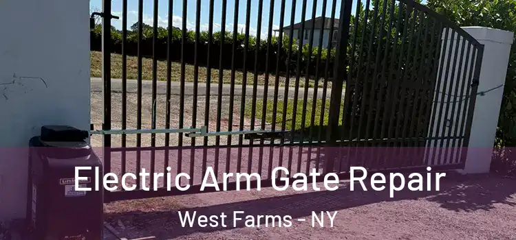  Electric Arm Gate Repair West Farms - NY