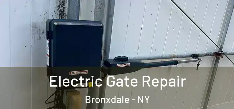 Electric Gate Repair Bronxdale - NY