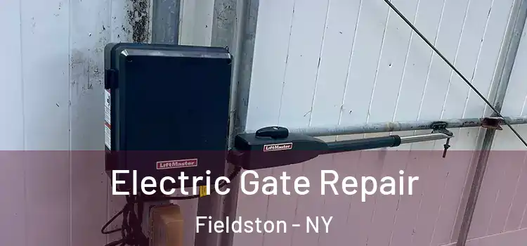 Electric Gate Repair Fieldston - NY