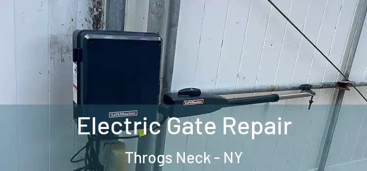 Electric Gate Repair Throgs Neck - NY