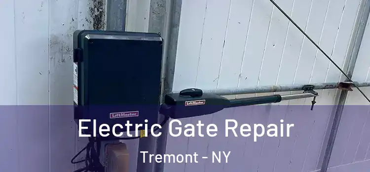  Electric Gate Repair Tremont - NY