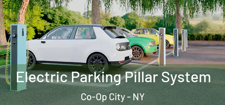 Electric Parking Pillar System Co-Op City - NY