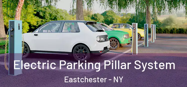 Electric Parking Pillar System Eastchester - NY