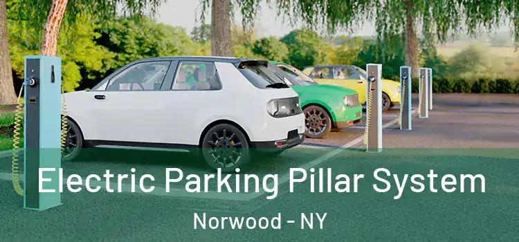 Electric Parking Pillar System Norwood - NY