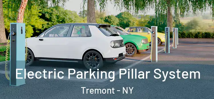 Electric Parking Pillar System Tremont - NY