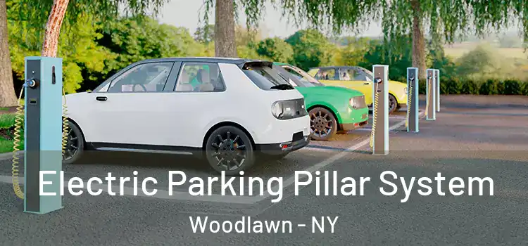 Electric Parking Pillar System Woodlawn - NY