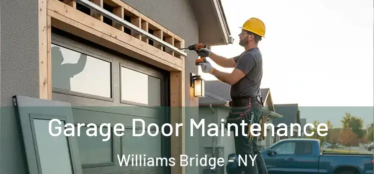 Garage Door Maintenance Williams Bridge - NY