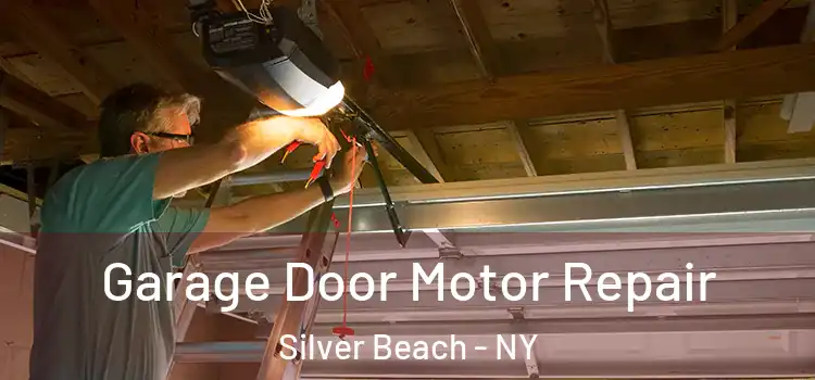  Garage Door Motor Repair Silver Beach - NY