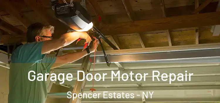  Garage Door Motor Repair Spencer Estates - NY