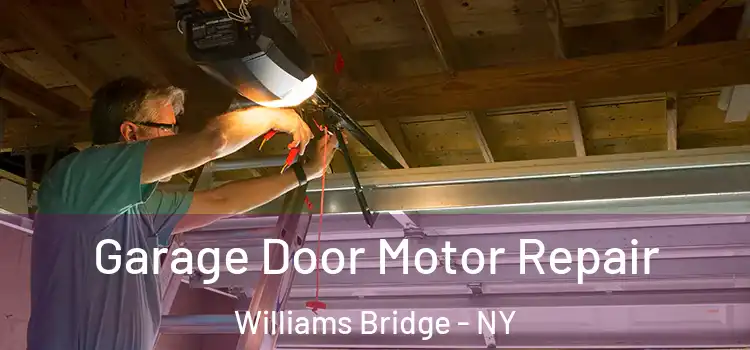 Garage Door Motor Repair Williams Bridge - NY