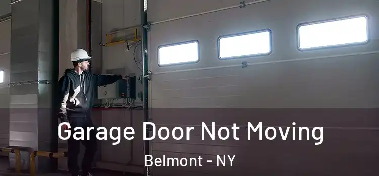  Garage Door Not Moving Belmont - NY