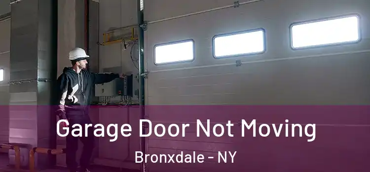  Garage Door Not Moving Bronxdale - NY