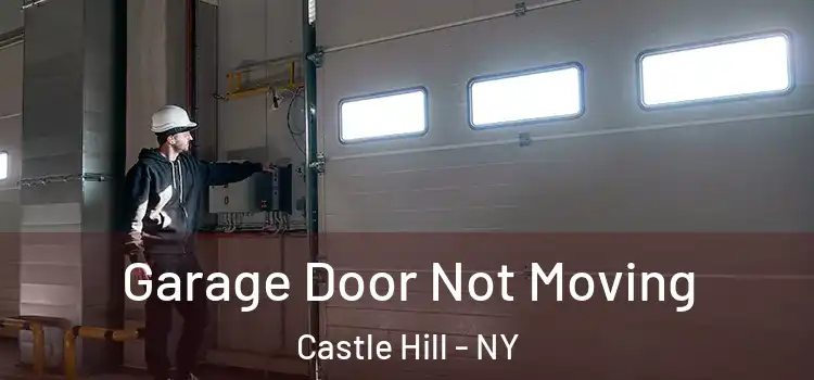  Garage Door Not Moving Castle Hill - NY