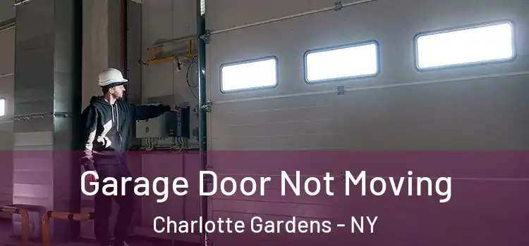  Garage Door Not Moving Charlotte Gardens - NY