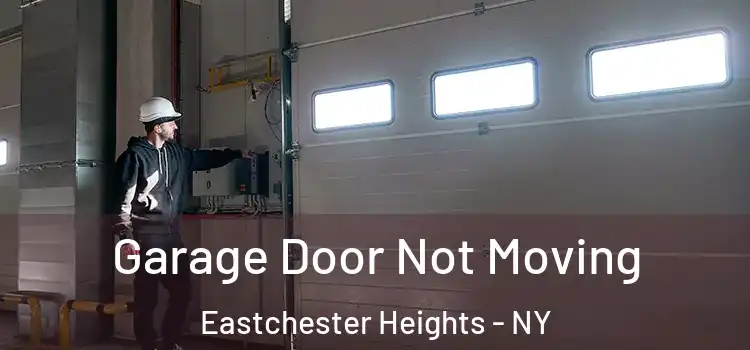  Garage Door Not Moving Eastchester Heights - NY