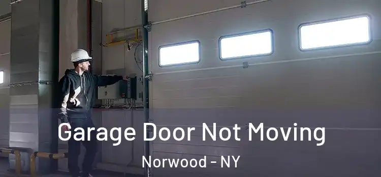  Garage Door Not Moving Norwood - NY