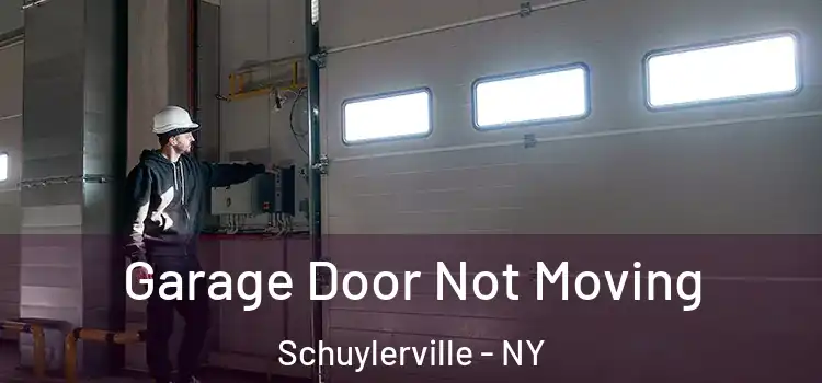  Garage Door Not Moving Schuylerville - NY