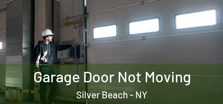  Garage Door Not Moving Silver Beach - NY