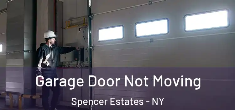  Garage Door Not Moving Spencer Estates - NY