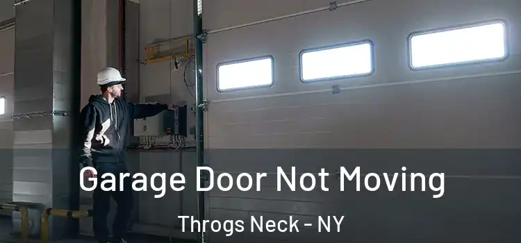  Garage Door Not Moving Throgs Neck - NY