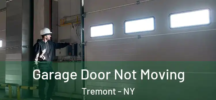  Garage Door Not Moving Tremont - NY