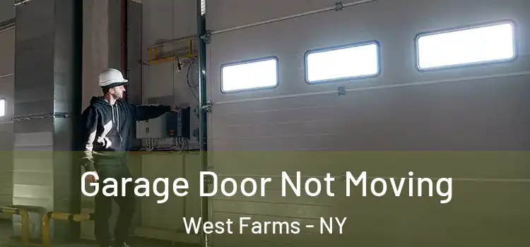  Garage Door Not Moving West Farms - NY