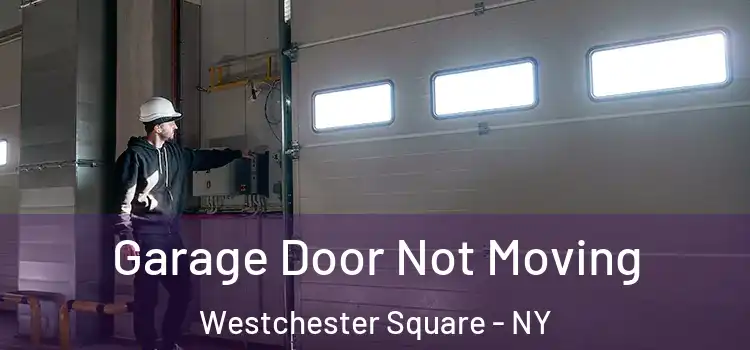  Garage Door Not Moving Westchester Square - NY