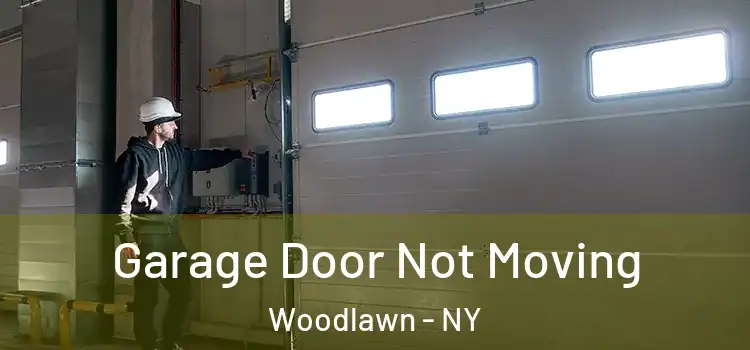  Garage Door Not Moving Woodlawn - NY