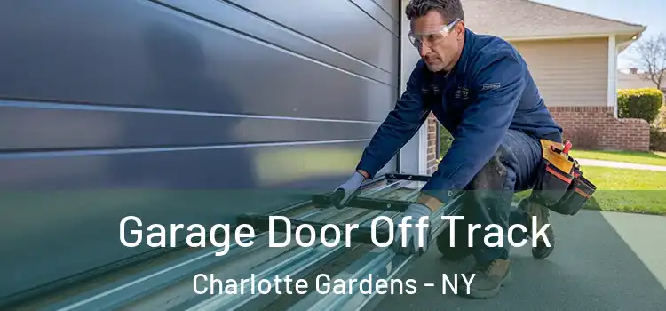  Garage Door Off Track Charlotte Gardens - NY