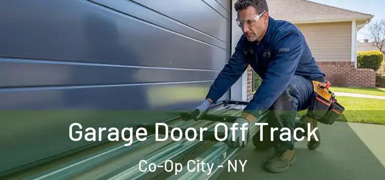  Garage Door Off Track Co-Op City - NY